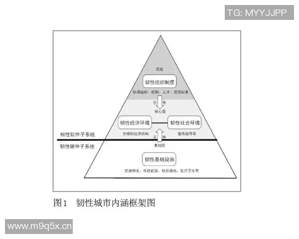 圣何塞地震与法兰克福城市韧性对比分析及其应对策略探讨